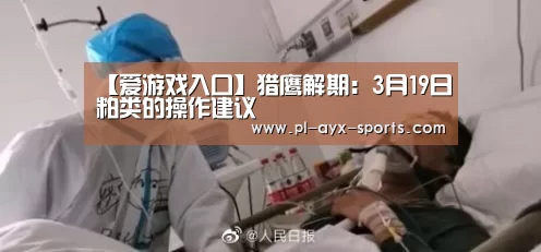 【爱游戏入口】猎鹰解期:3月19日粕类的操作建议(图1) 爱游戏全站