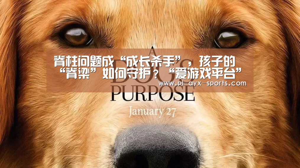 爱游戏全站