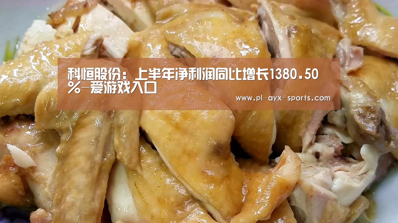 科恒股份:上半年净利润同比增长1380.50%-爱游戏入口(图2) 爱游戏APP