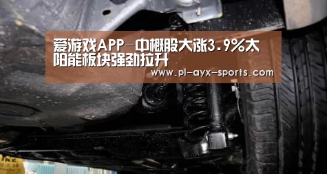 爱游戏平台