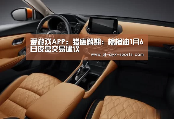 爱游戏APP：猎鹰解期：棕榈油1月6日夜盘交易建议